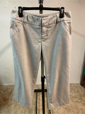 Daisy Fuentes Light Gray Cropped Dress Pants Size 6